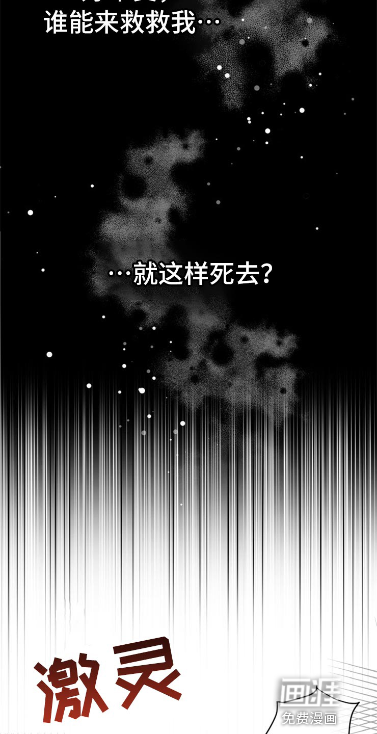 掌中玫瑰第48话图