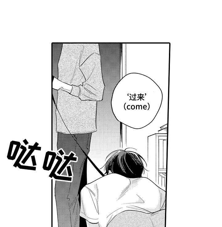 支配指令第11话图