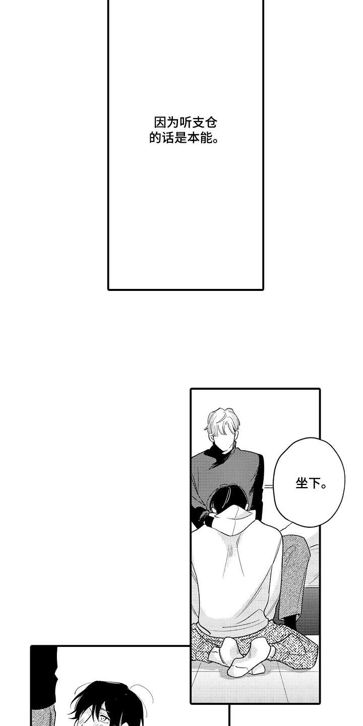 支配指令第8话图