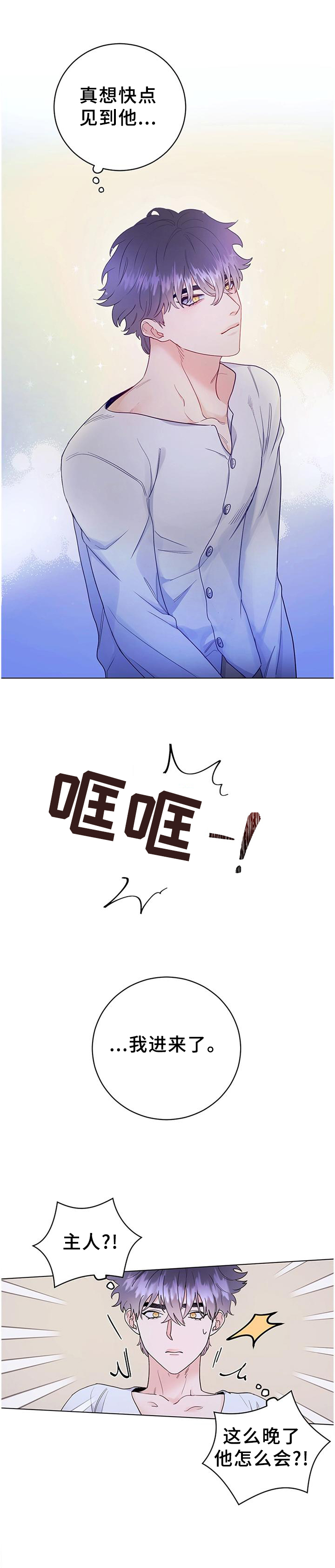 主人的宠物第29话图