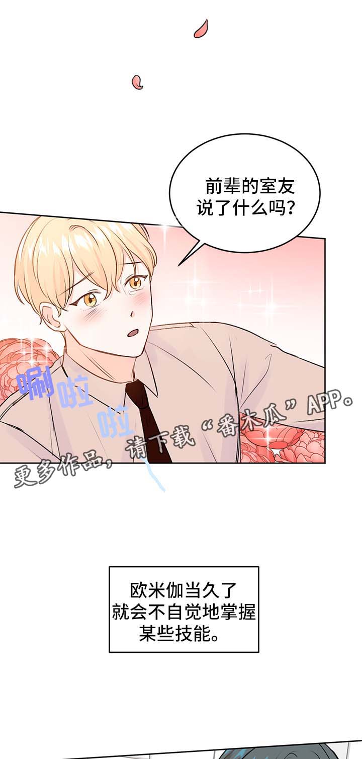 最差阿尔法第24话图