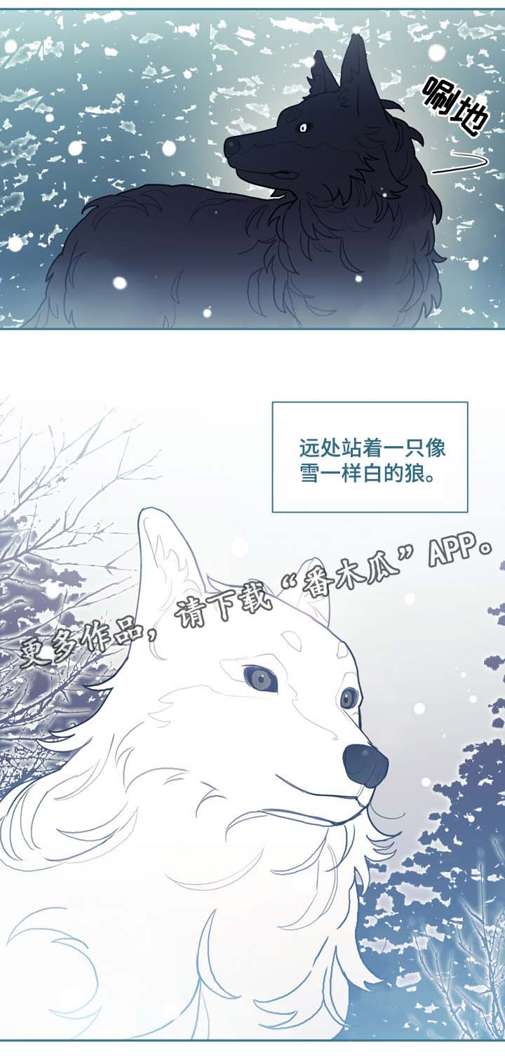 拯救神父第48话图