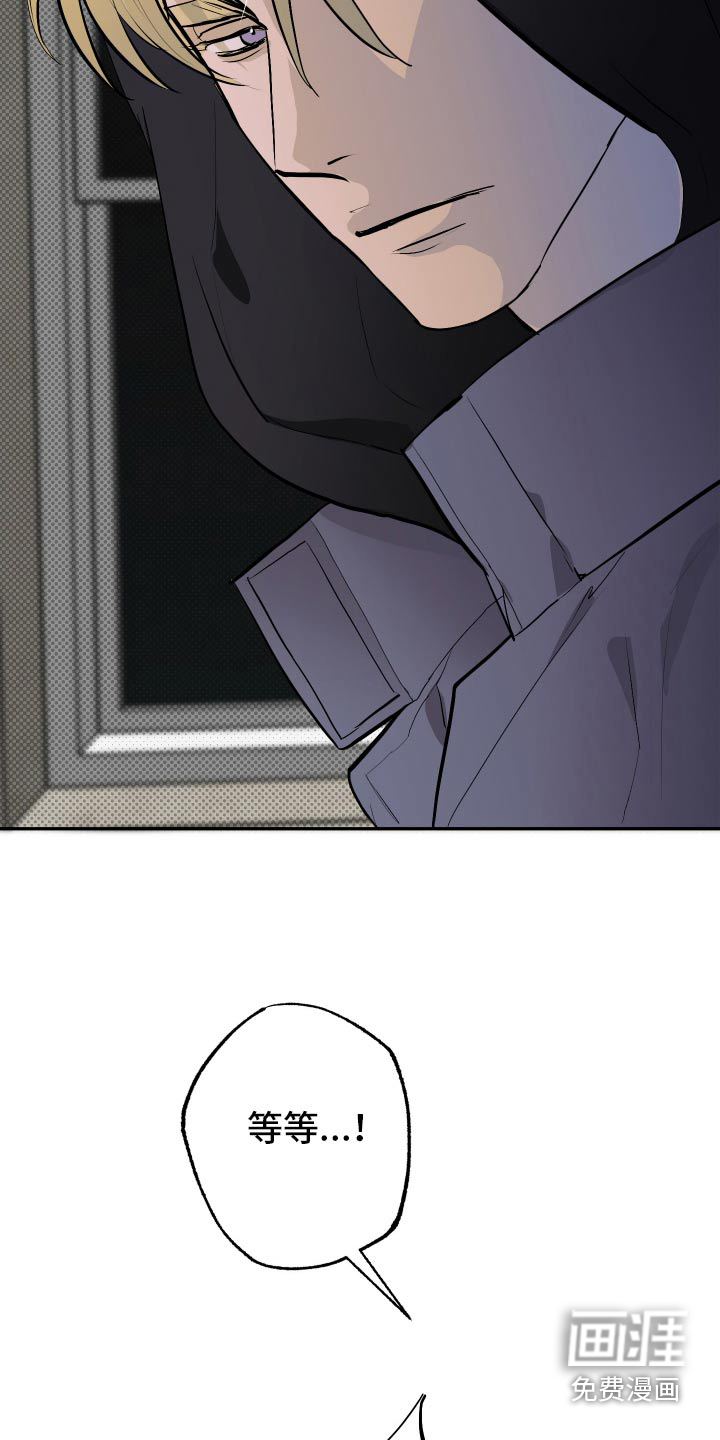 追凶之路第41话图