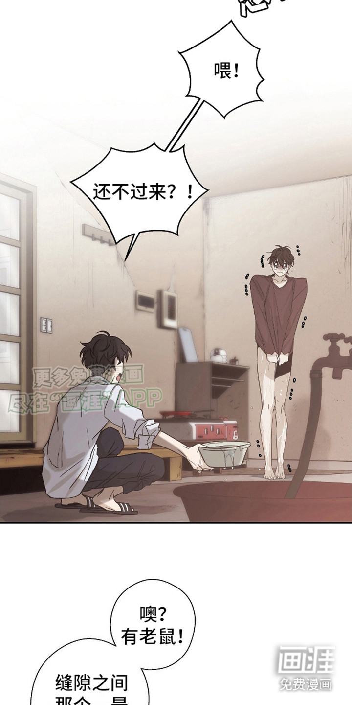 治愈的歌声 第2话 第4页