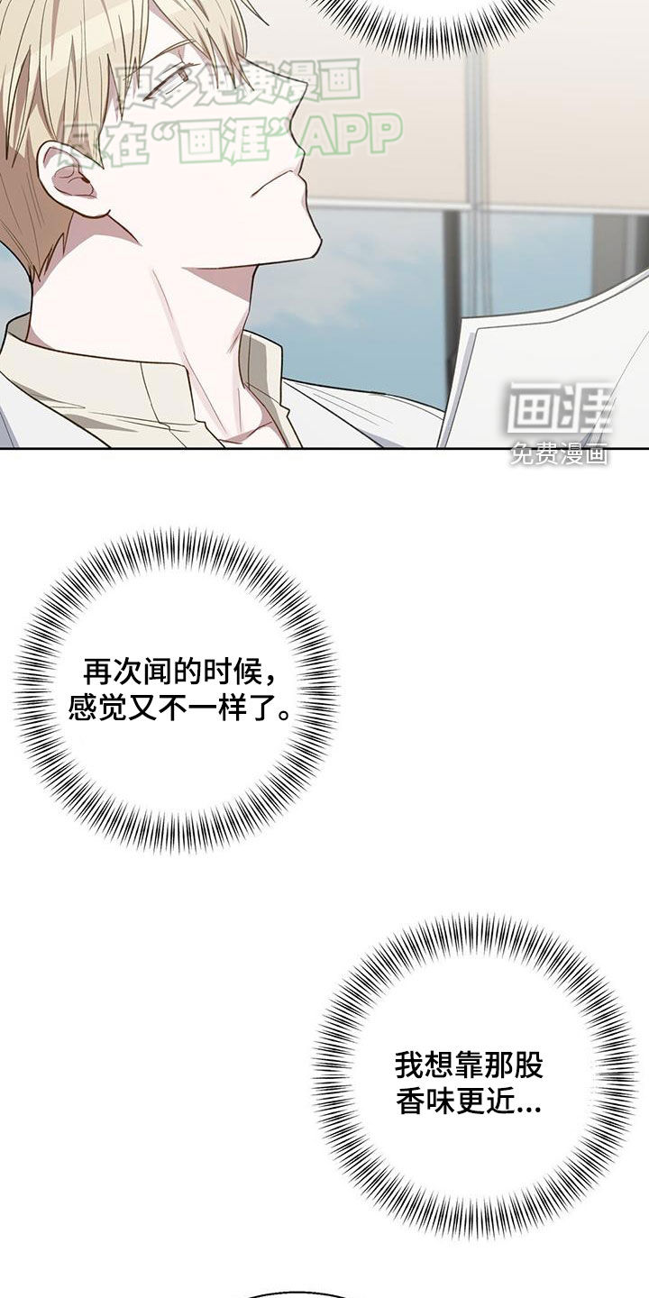 在香气中游泳第39话图