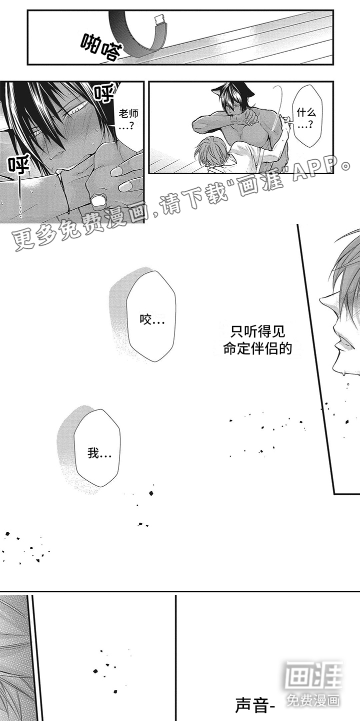 猪猪阿尔法第10话图