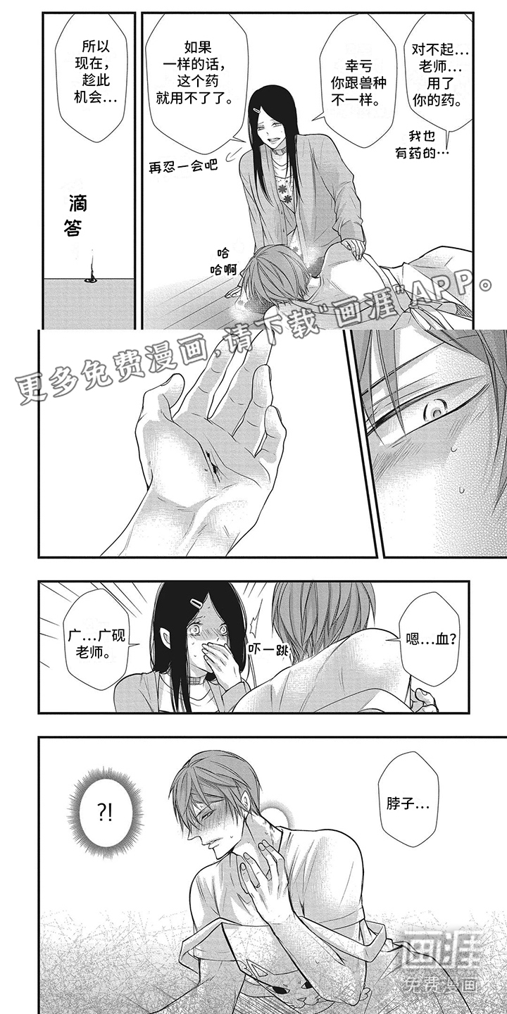 猪猪阿尔法第11话图