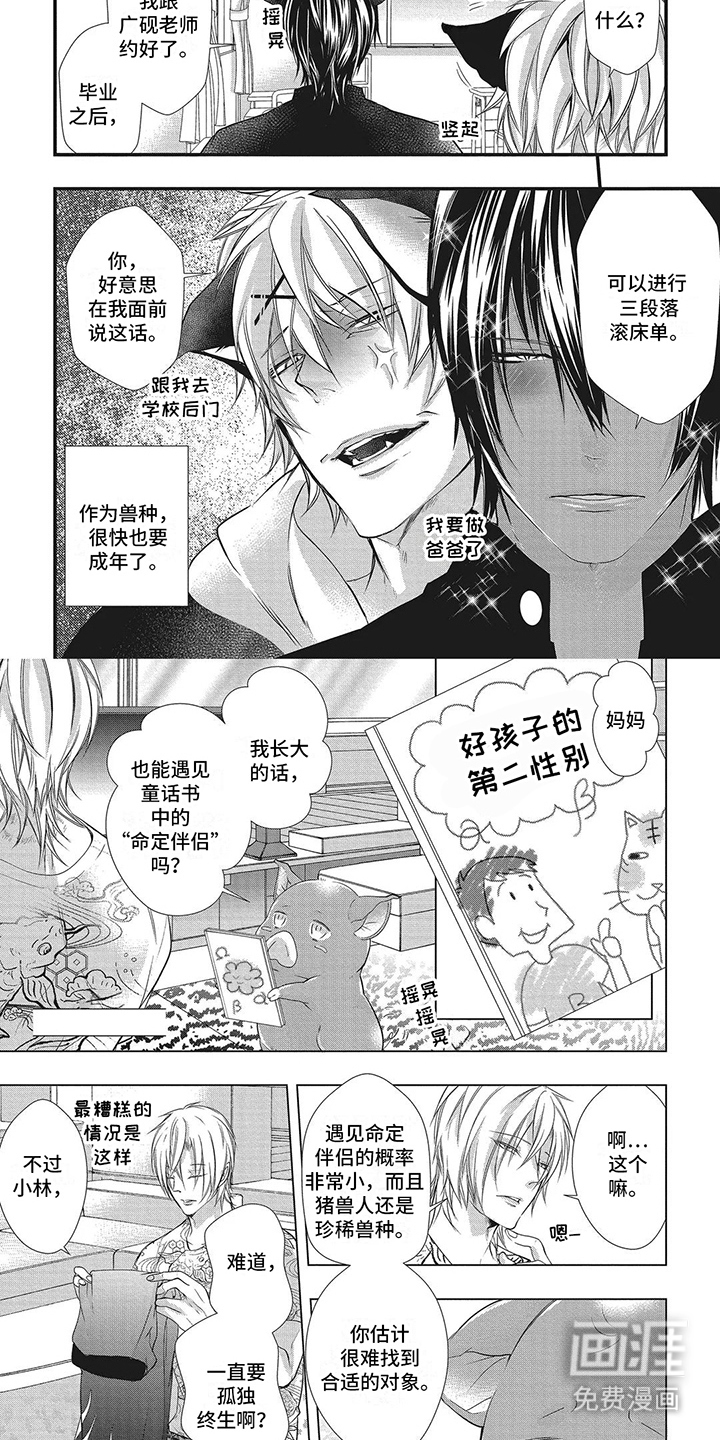 猪猪阿尔法第13话图