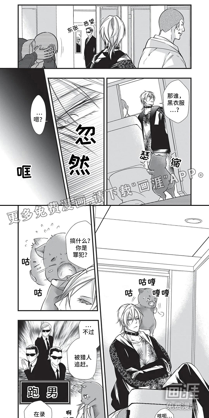 猪猪阿尔法第18话图