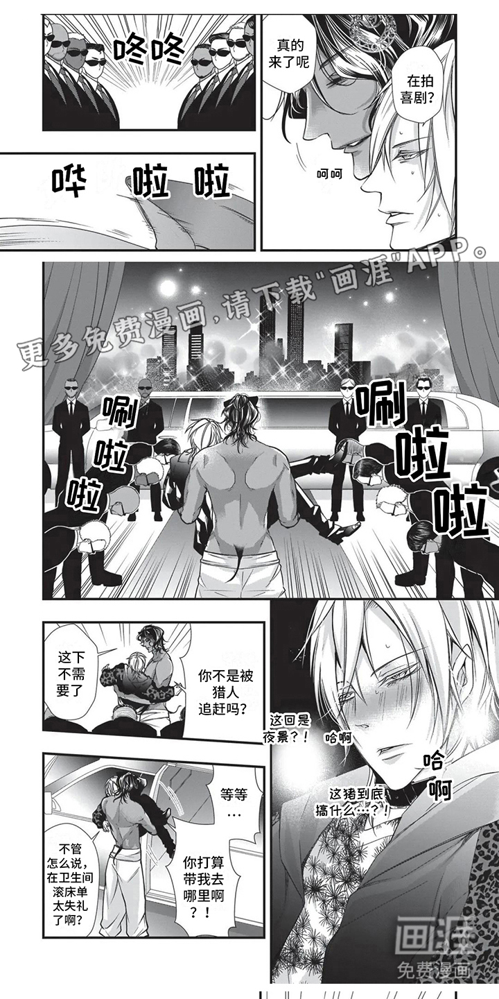 猪猪阿尔法第19话图