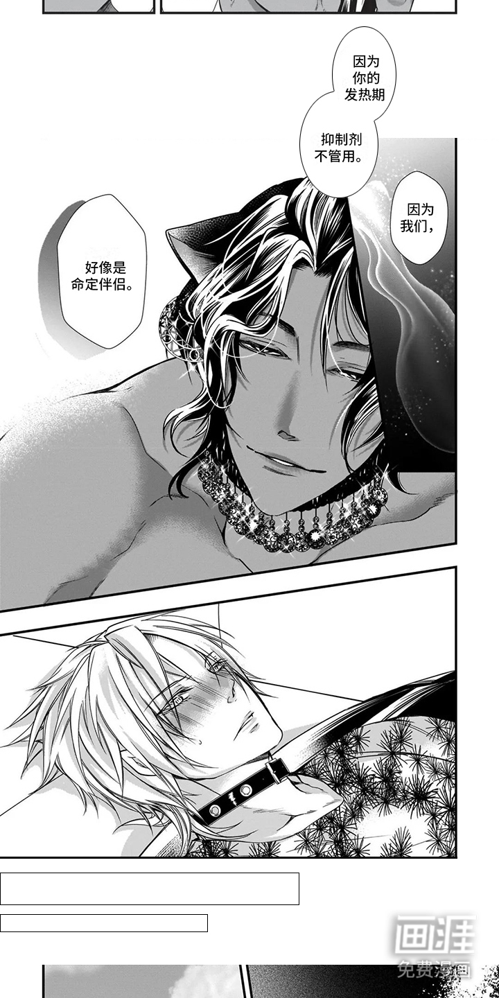 猪猪阿尔法第19话图