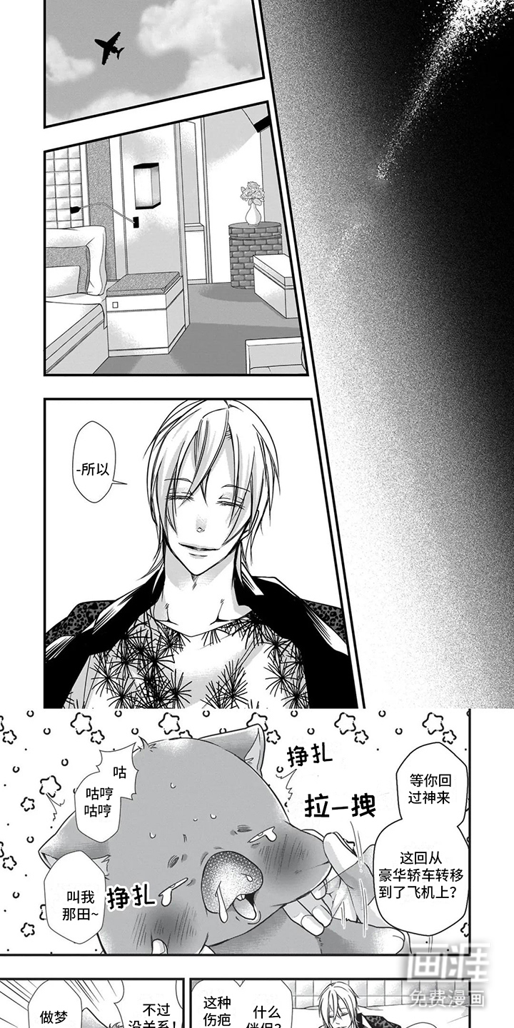 猪猪阿尔法第19话图