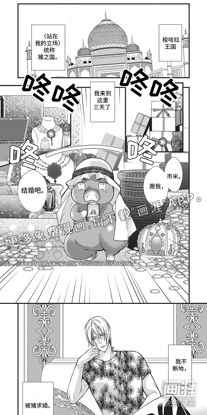 猪猪阿尔法第20话图