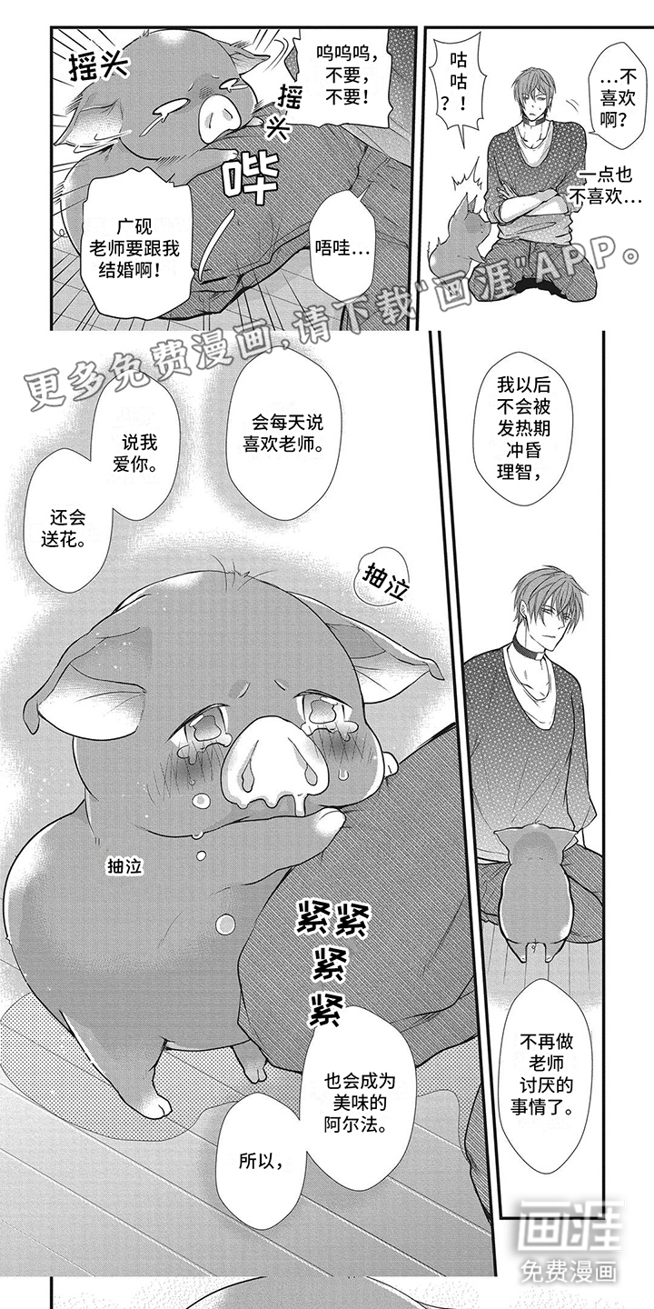 猪猪阿尔法第4话图