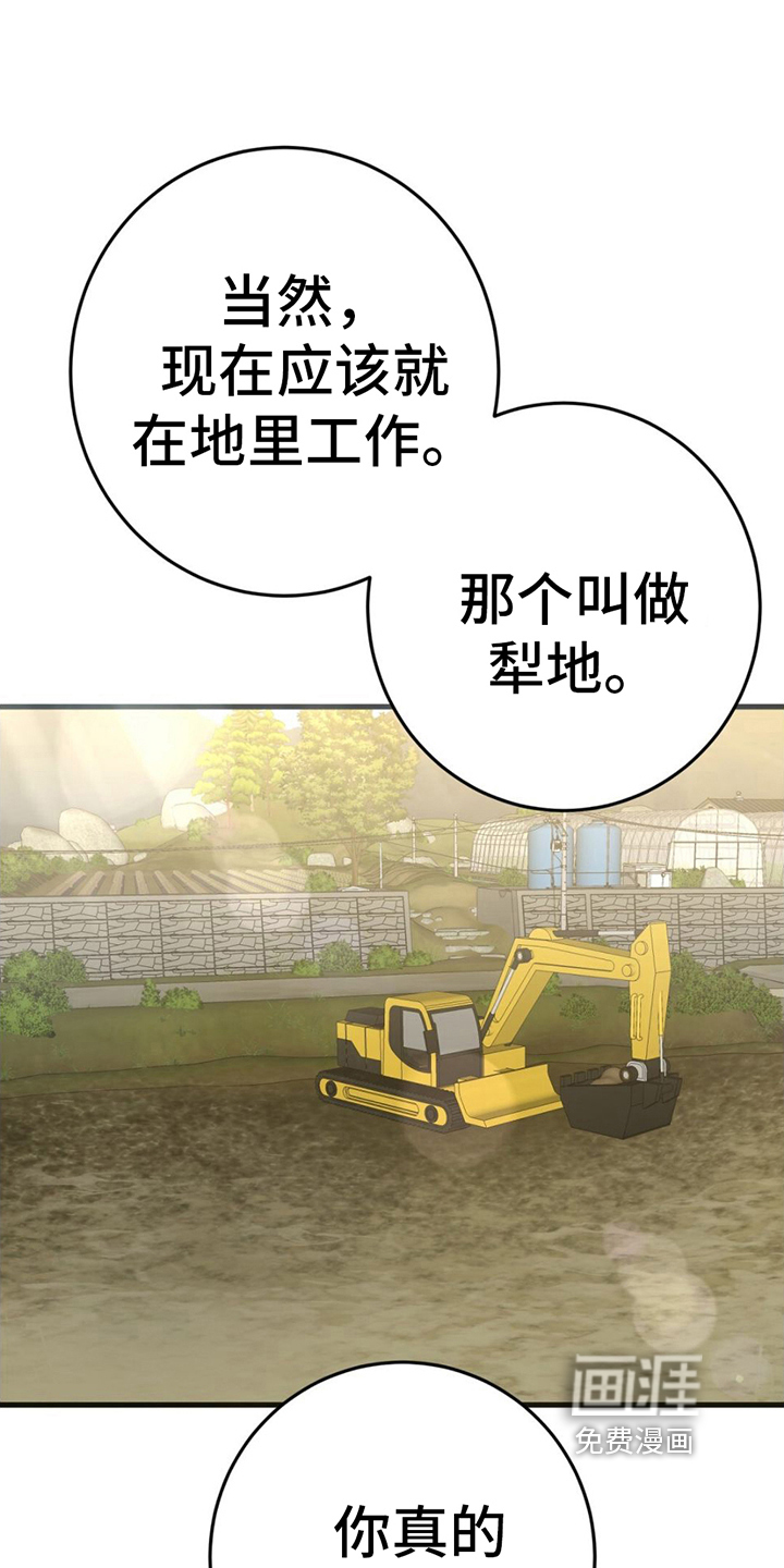 征用你的全部第12话图