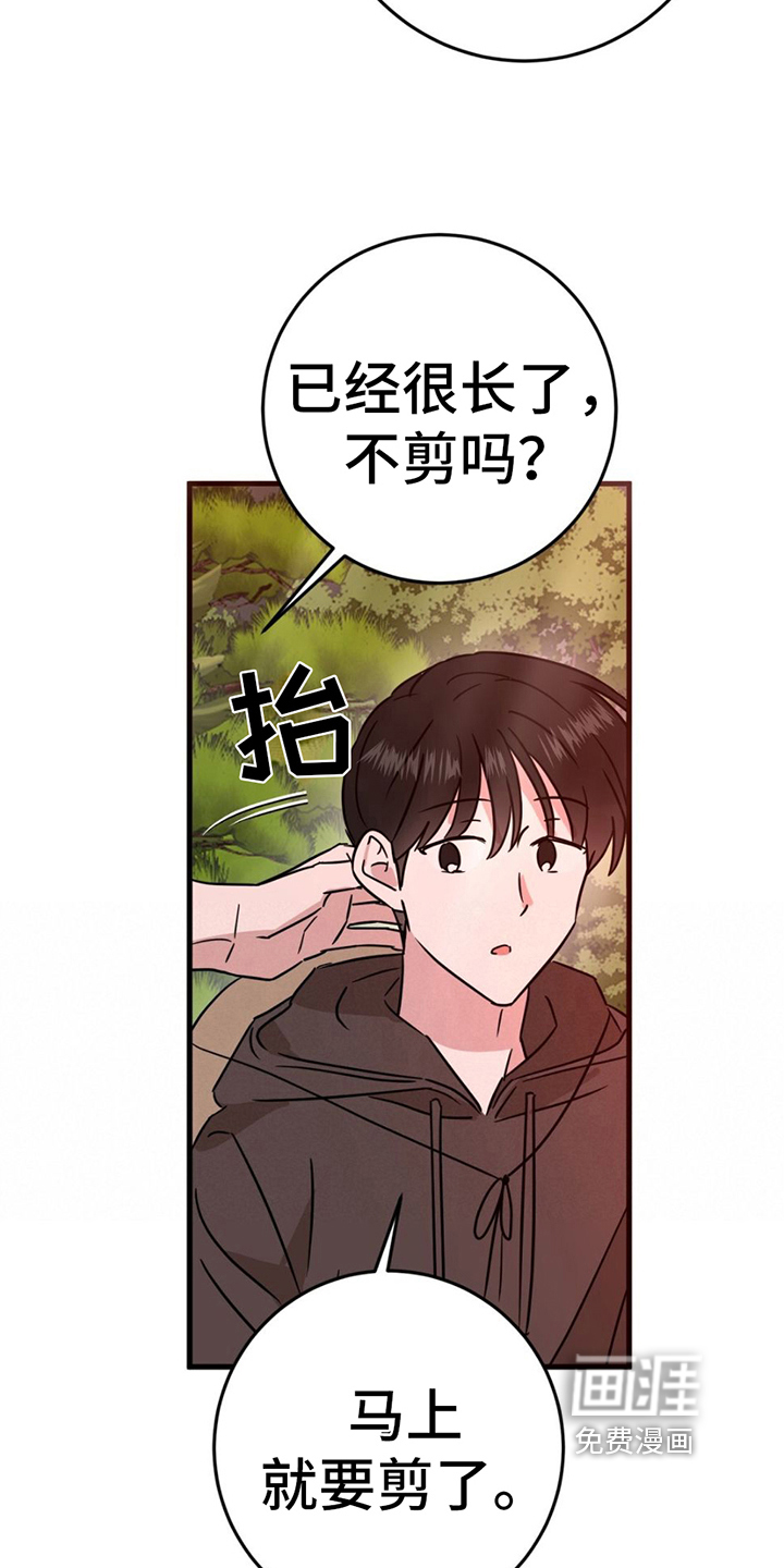 征用你的全部第14话图