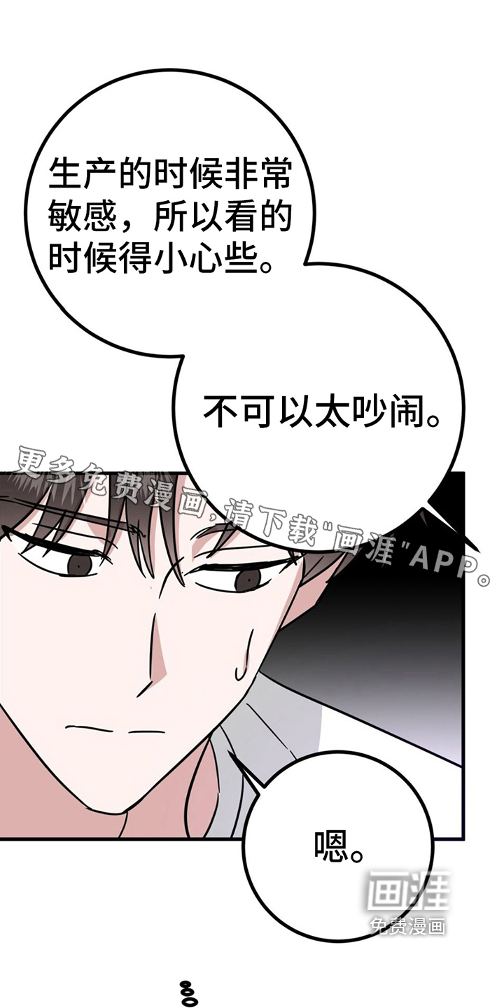 征用你的全部第17话图