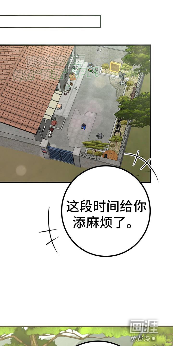 征用你的全部第45话图