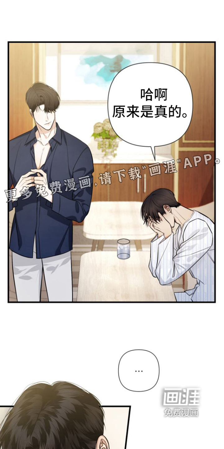 指南条约第18话图