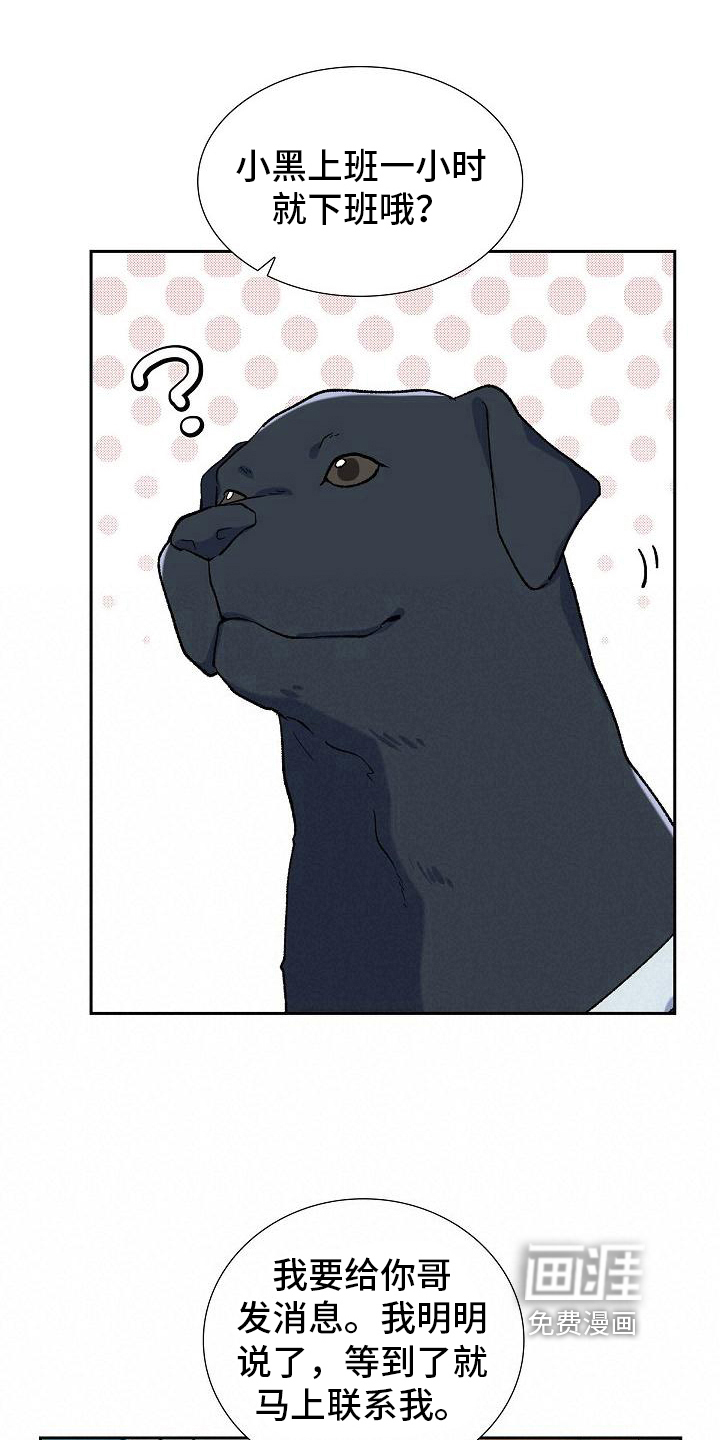 再相会第24话图