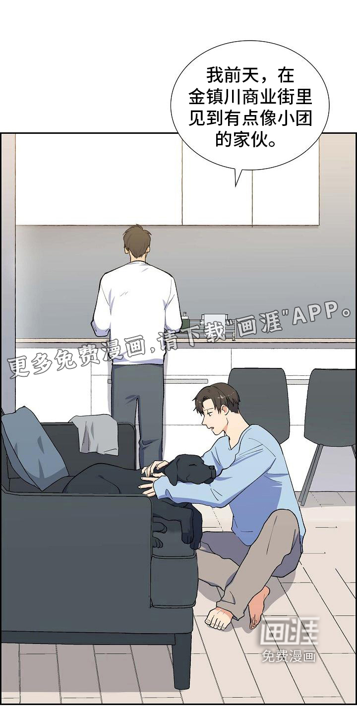 再相会第26话图