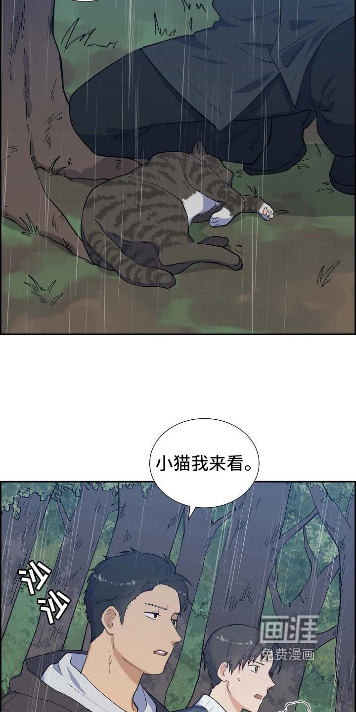 再相会第28话图