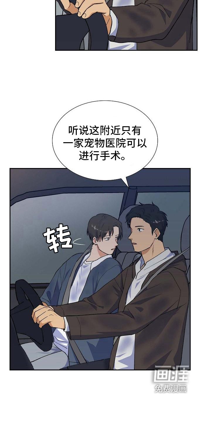 再相会第30话图