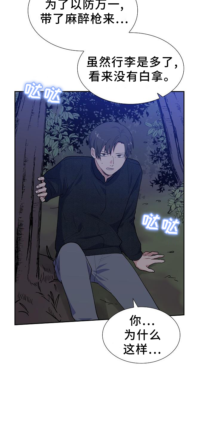 再相会第37话图