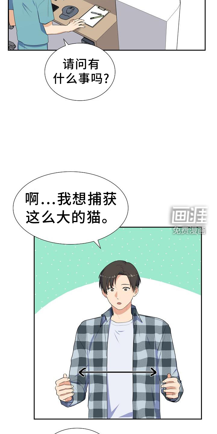 再相会第41话图