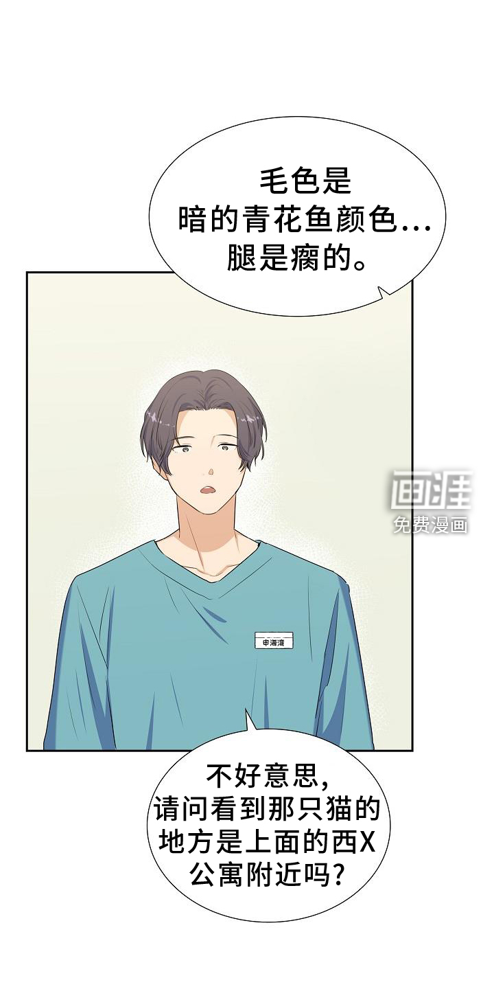 再相会第41话图