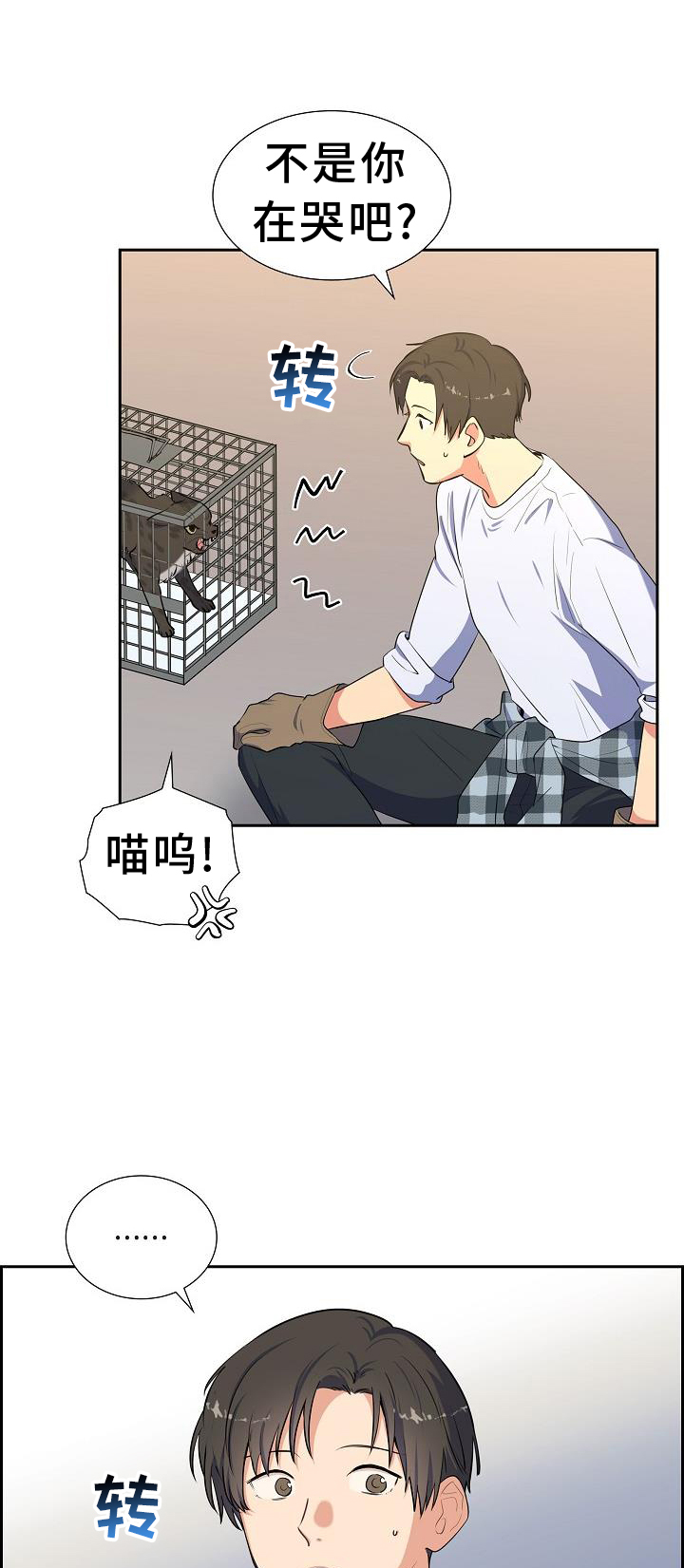 再相会第42话图