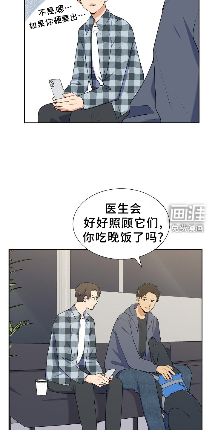 再相会第44话图