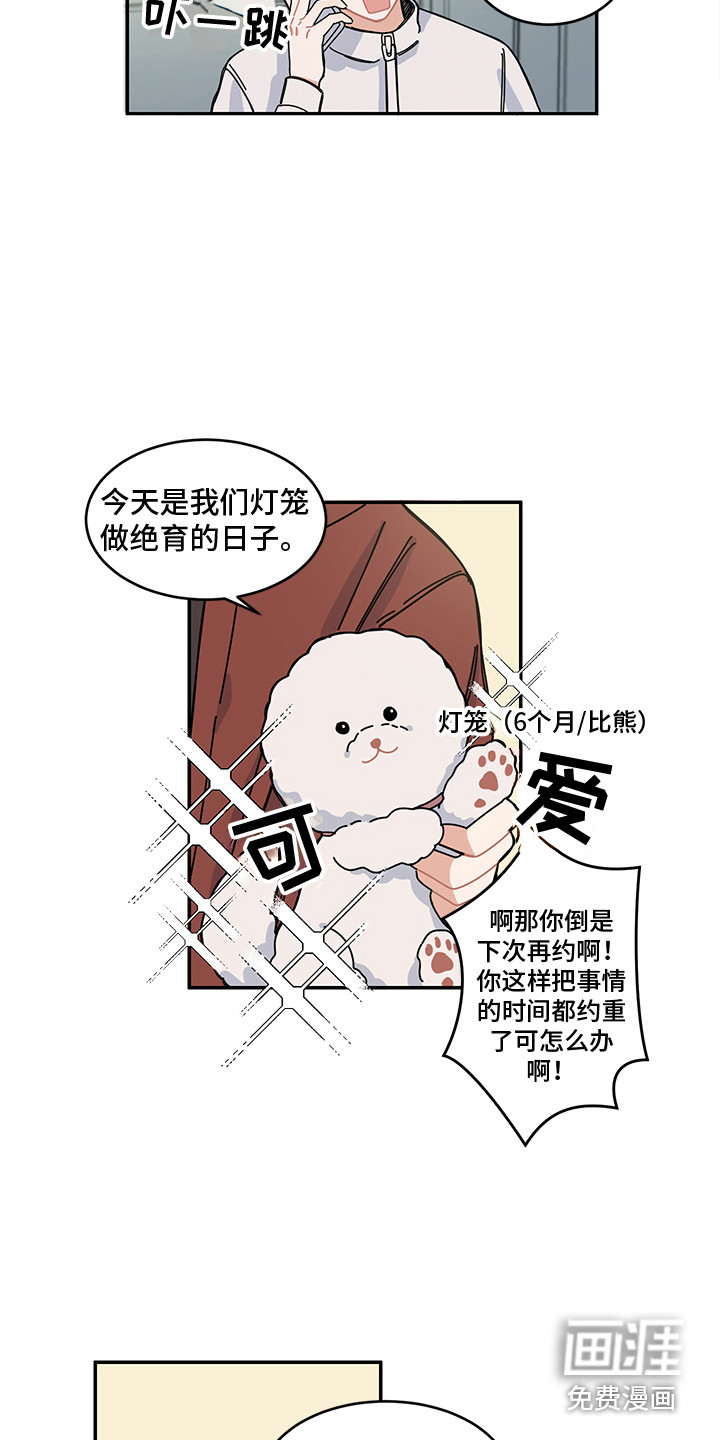 重播到结局第24话图