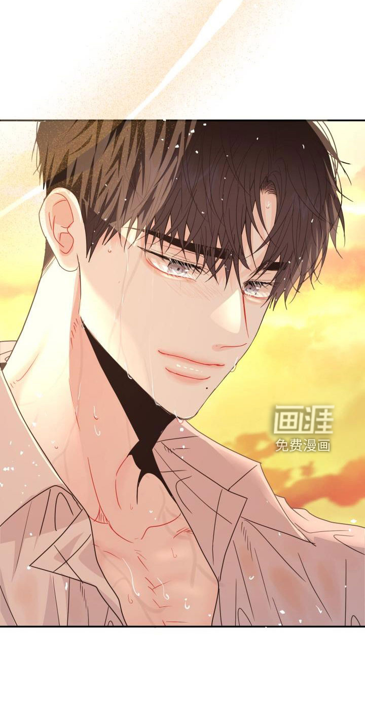 再次相爱第31话图