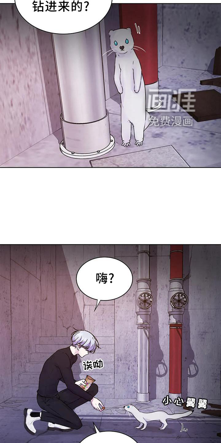 最后的净土 第27话 第10页