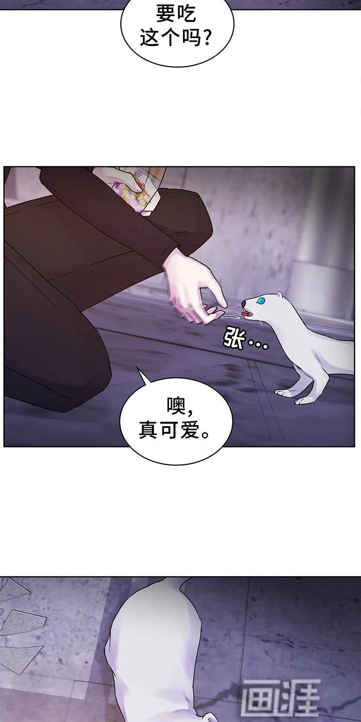 最后的净土 第27话 第11页