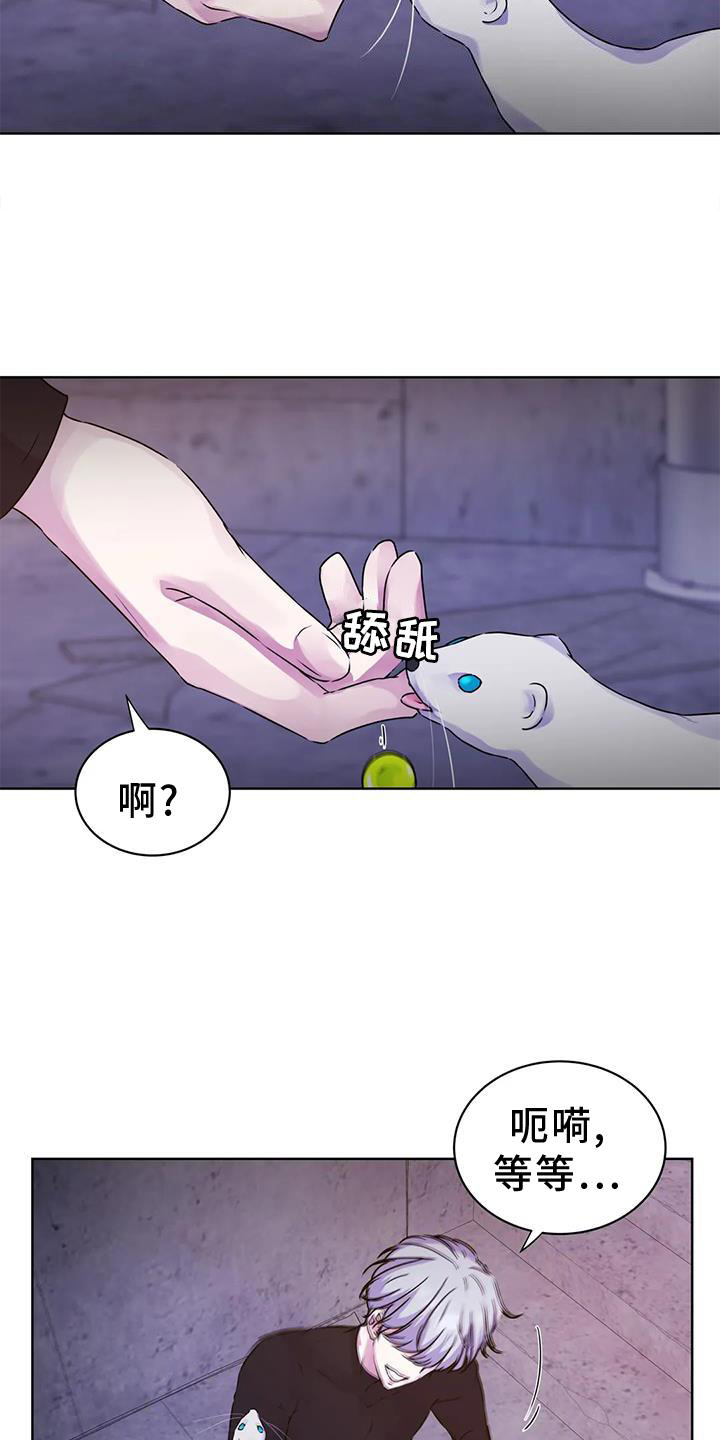 最后的净土 第27话 第14页