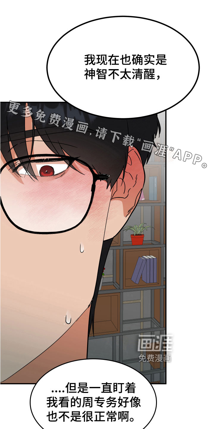 诅咒之恋第13话图