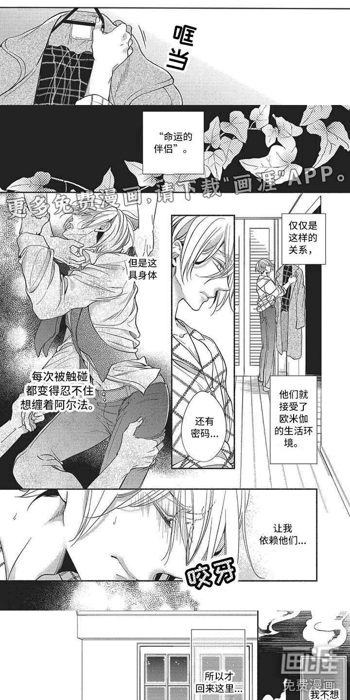 最棒的欧米伽第25话图