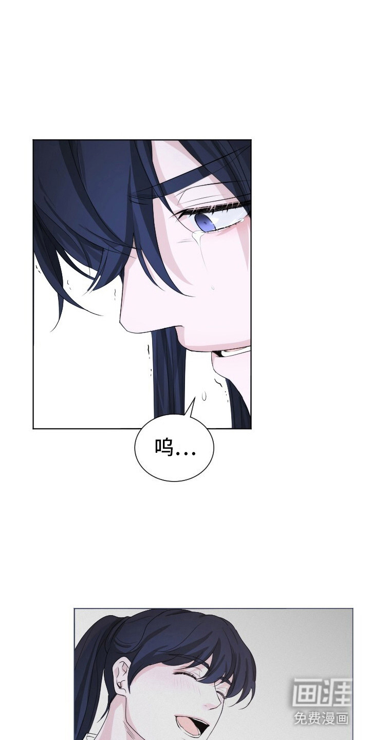 罪臣谎言第17话图