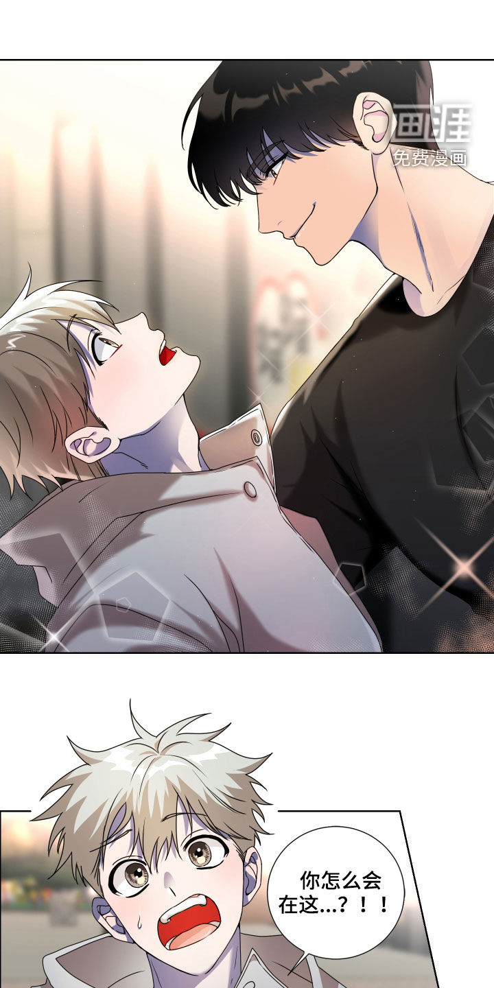 只接受完美结局第17话图