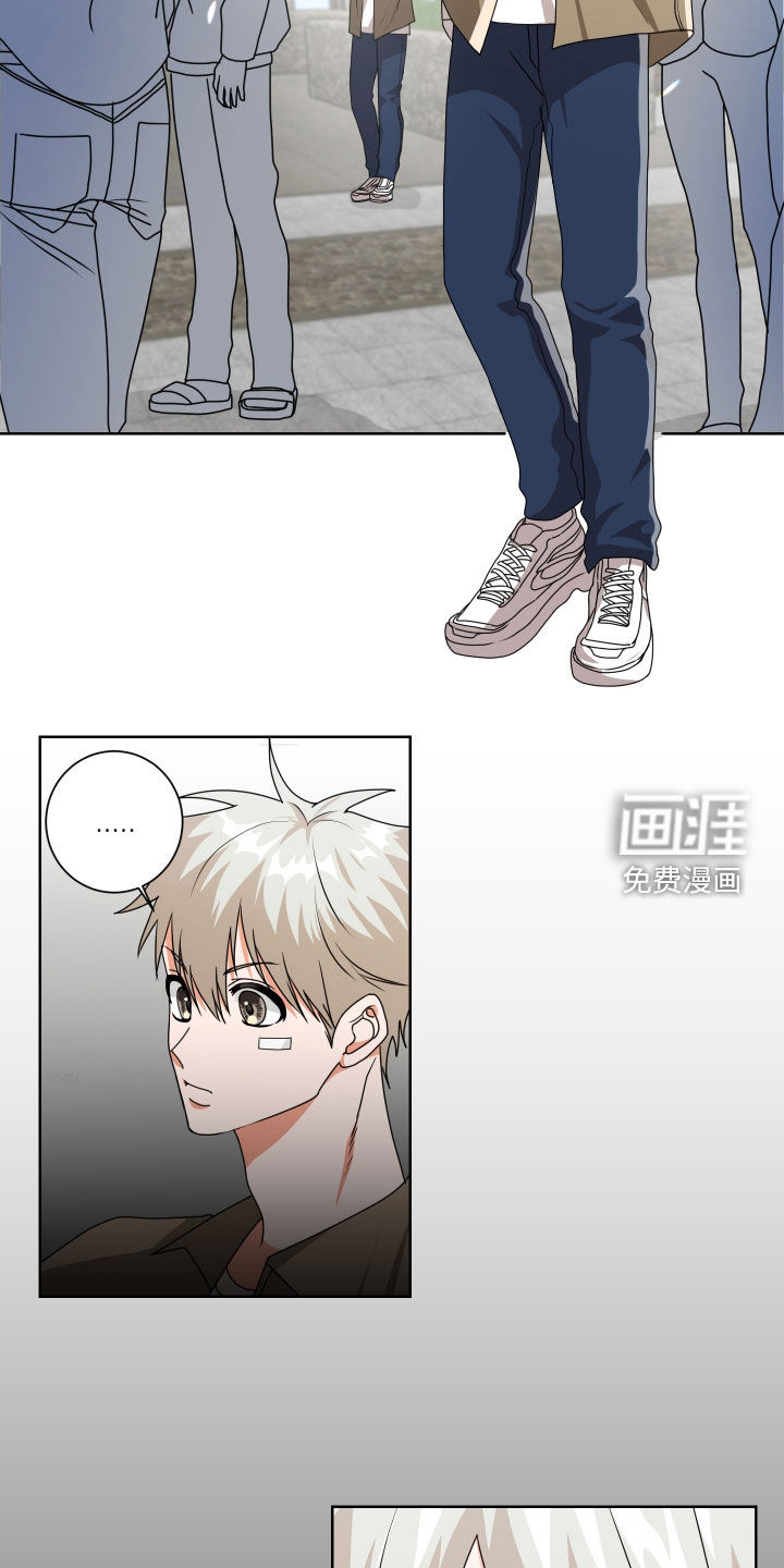 只接受完美结局第29话图