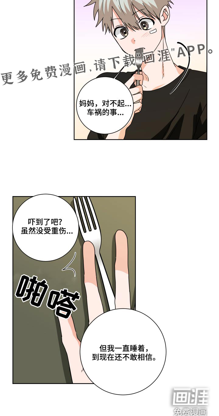 只接受完美结局第31话图