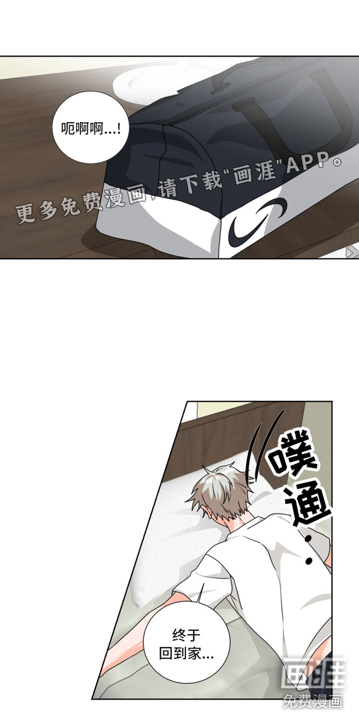 只接受完美结局第5话图