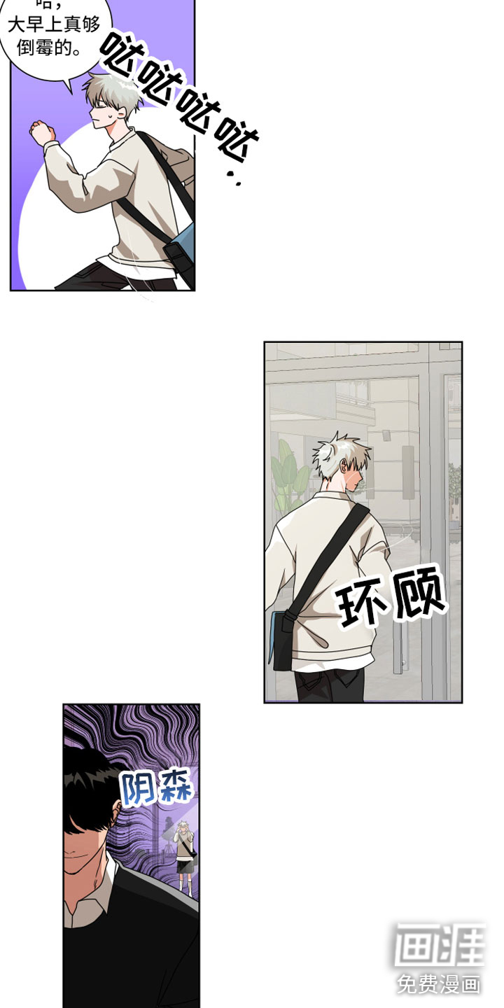 只接受完美结局第9话图