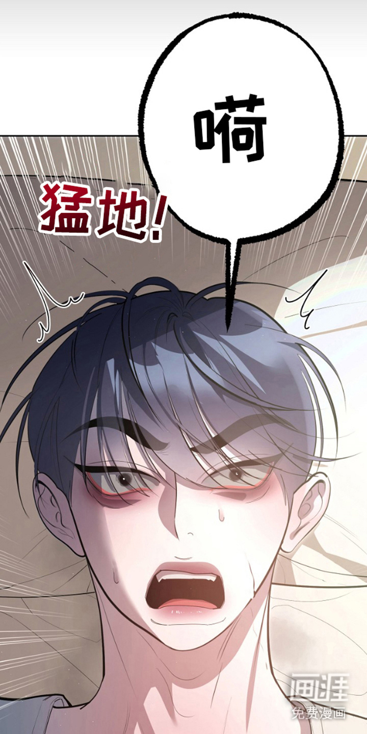 噪音惊扰第6话图