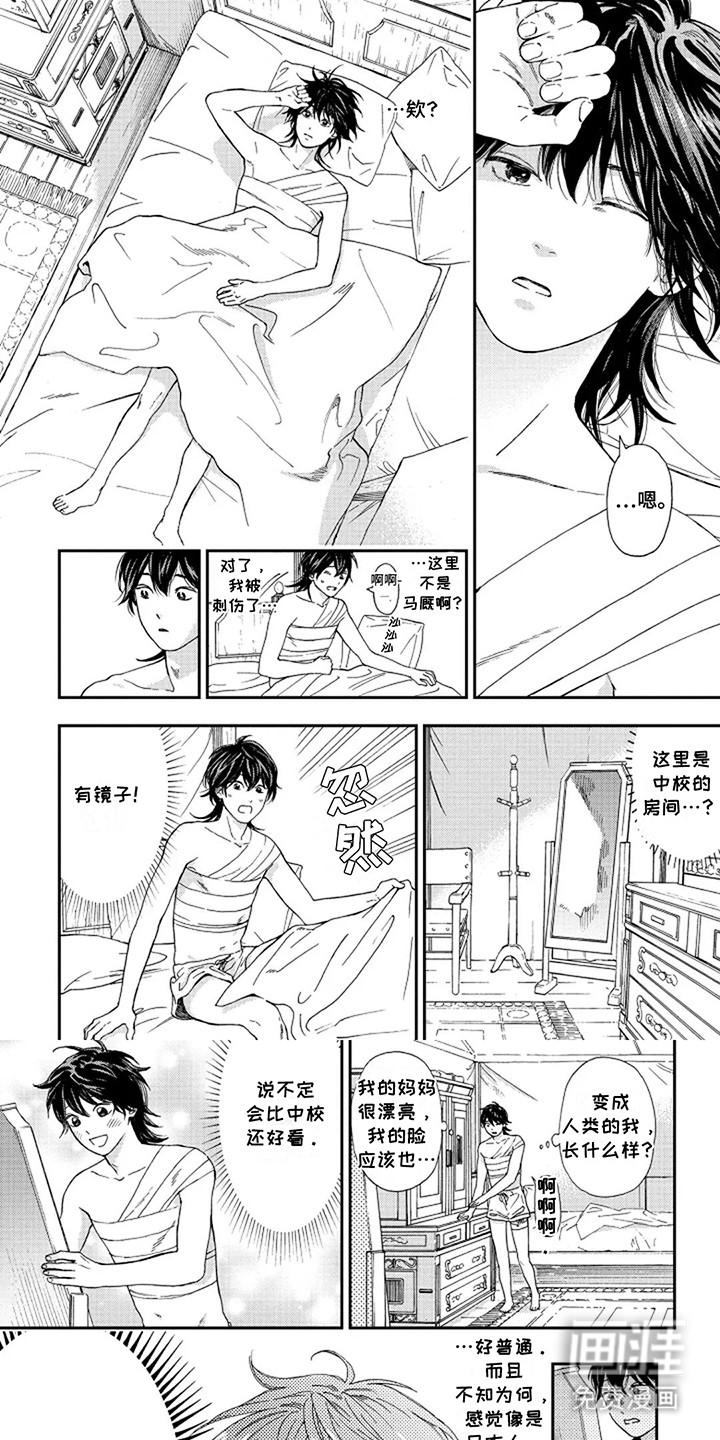 转世战马第7话图