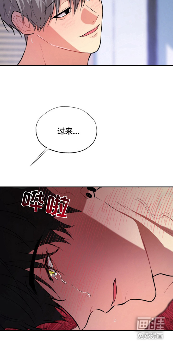 忠犬狂欢第39话图