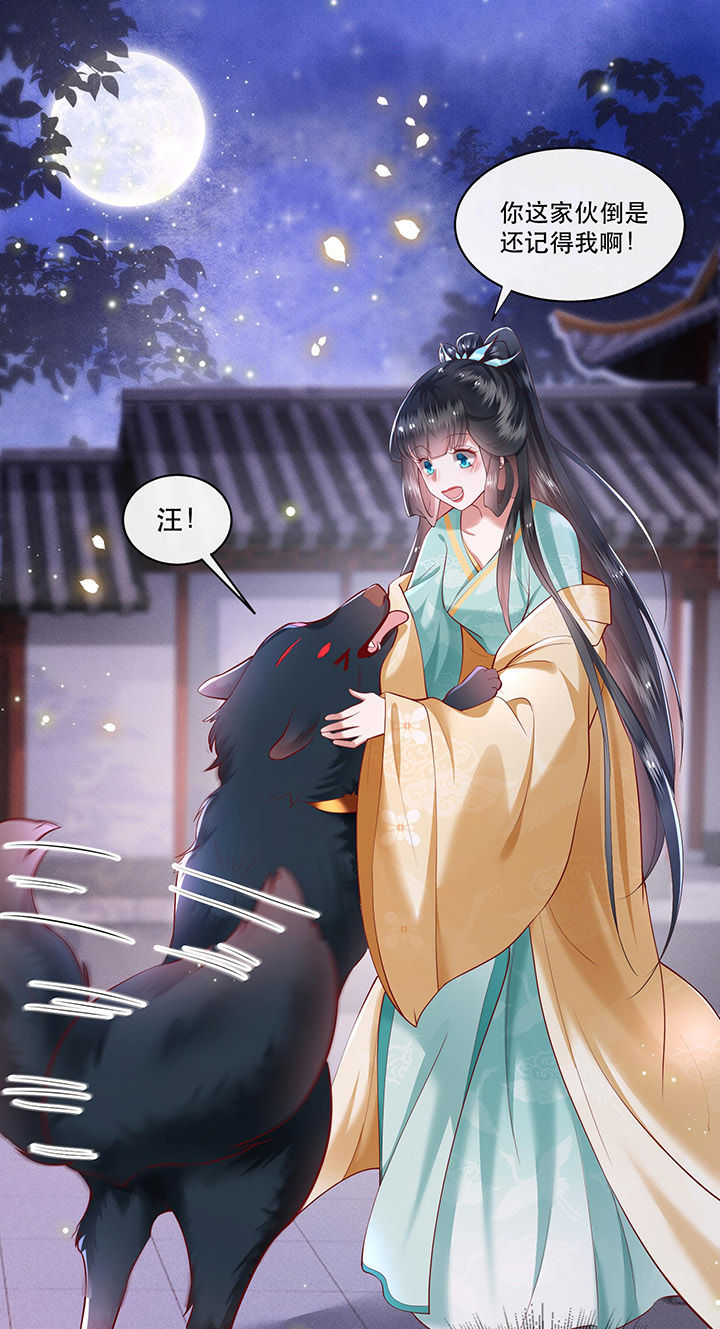 这个王妃路子野第50话图