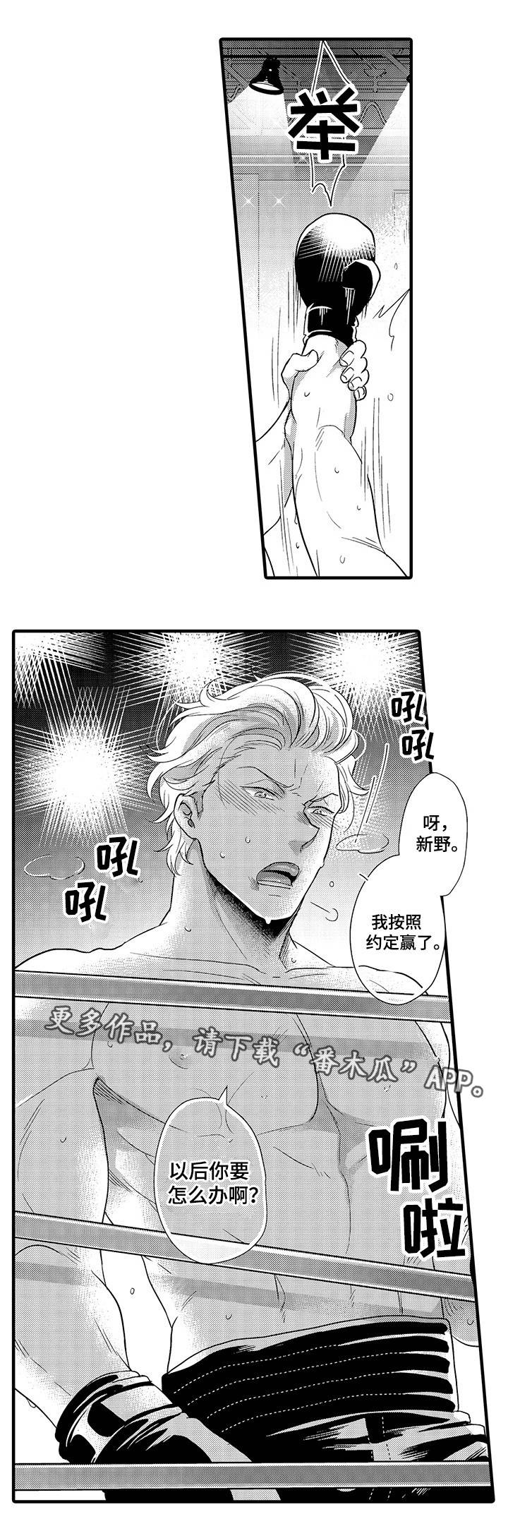 职场限定第26话图